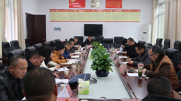 县人大常委会召开县乡人大代表补选工作及乡镇政府民生实事项目人大代表票决制工作会