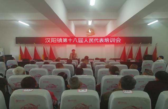 汉阳镇人大主席团组织人大代表监督民生实事项目实施情况