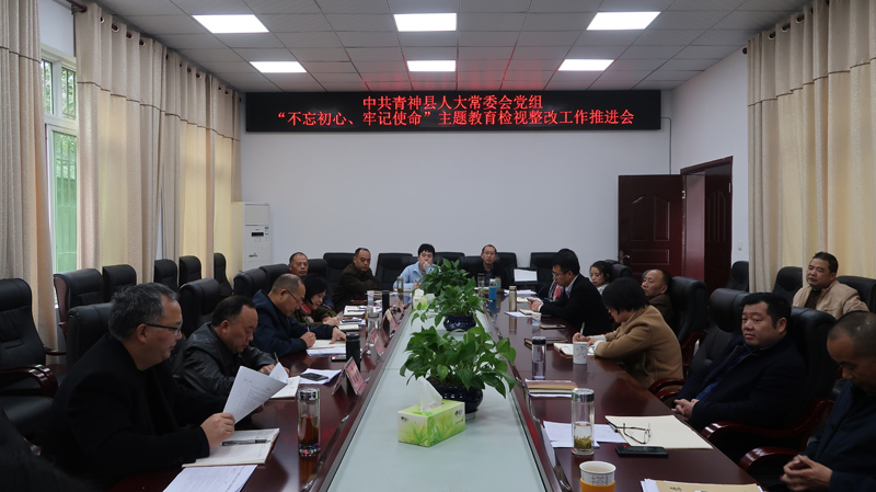 县人大常委会党组召开“不忘初心、牢记使命”主题教育检视整改工作推进会
