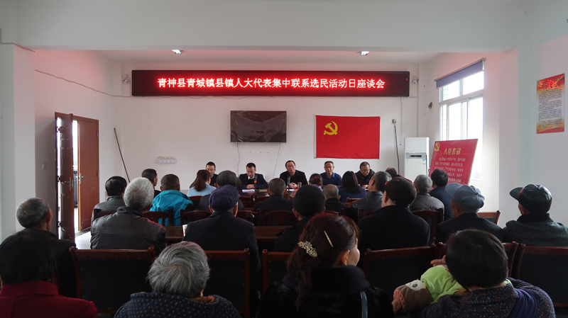 李志国主任回柳溪村开展集中联系选民活动日活动
